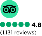 TripAdvisor Rating